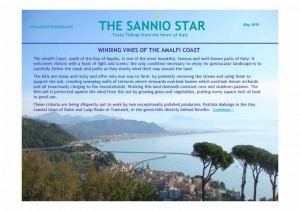 The Sannio Star - May 2010